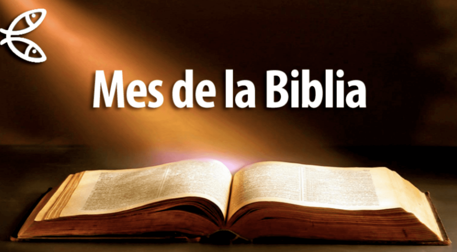 Antiguo Testamento en 180 Días