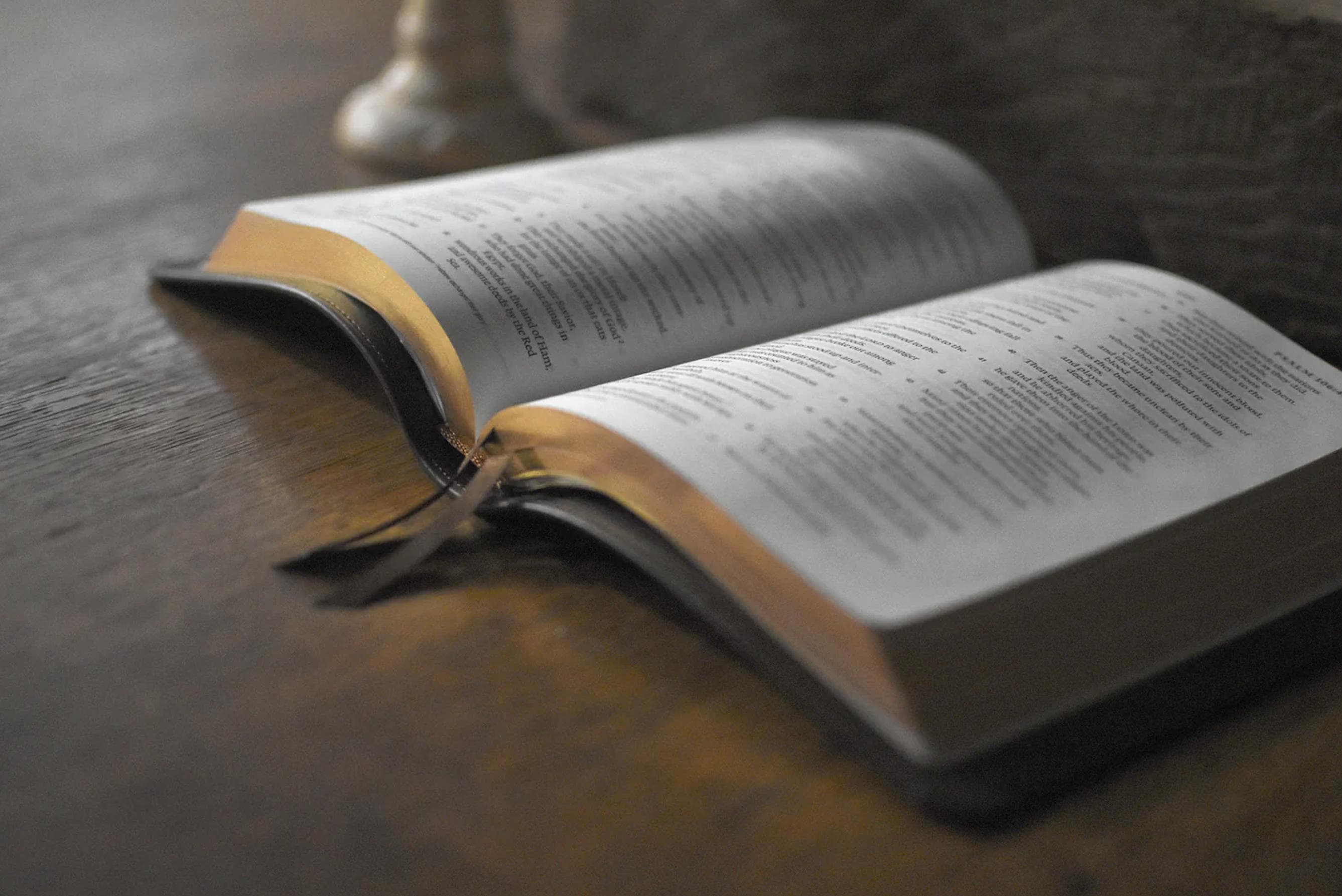 Nuevo Testamento en 90 Días